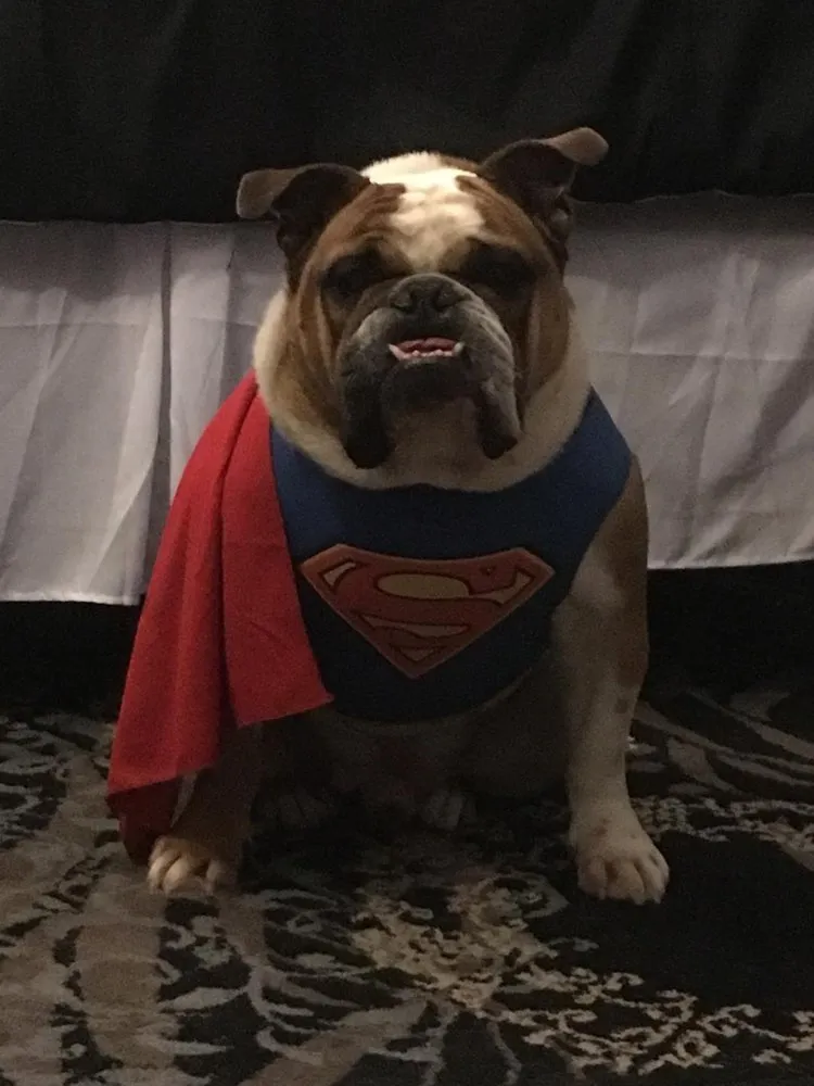 Slide of Maximus Electric