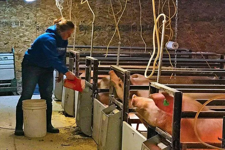 Slide of Mayberry Electric