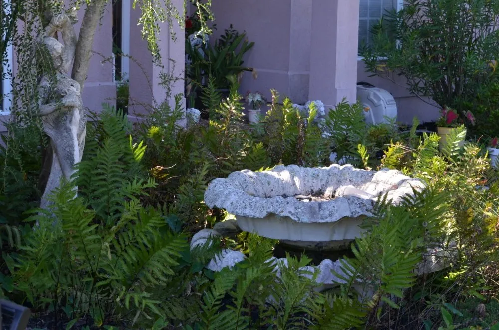 Slide of MBK Creations