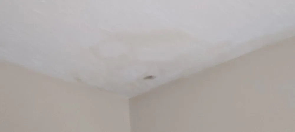 Professional lighting installation service in ,  - Mc Landscaping And Construction