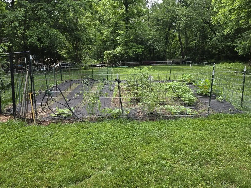 Trusted panel upgrade in ,  by Mc Landscaping And Construction