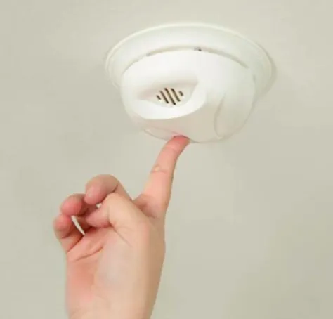 Slide of McCall Enterprises