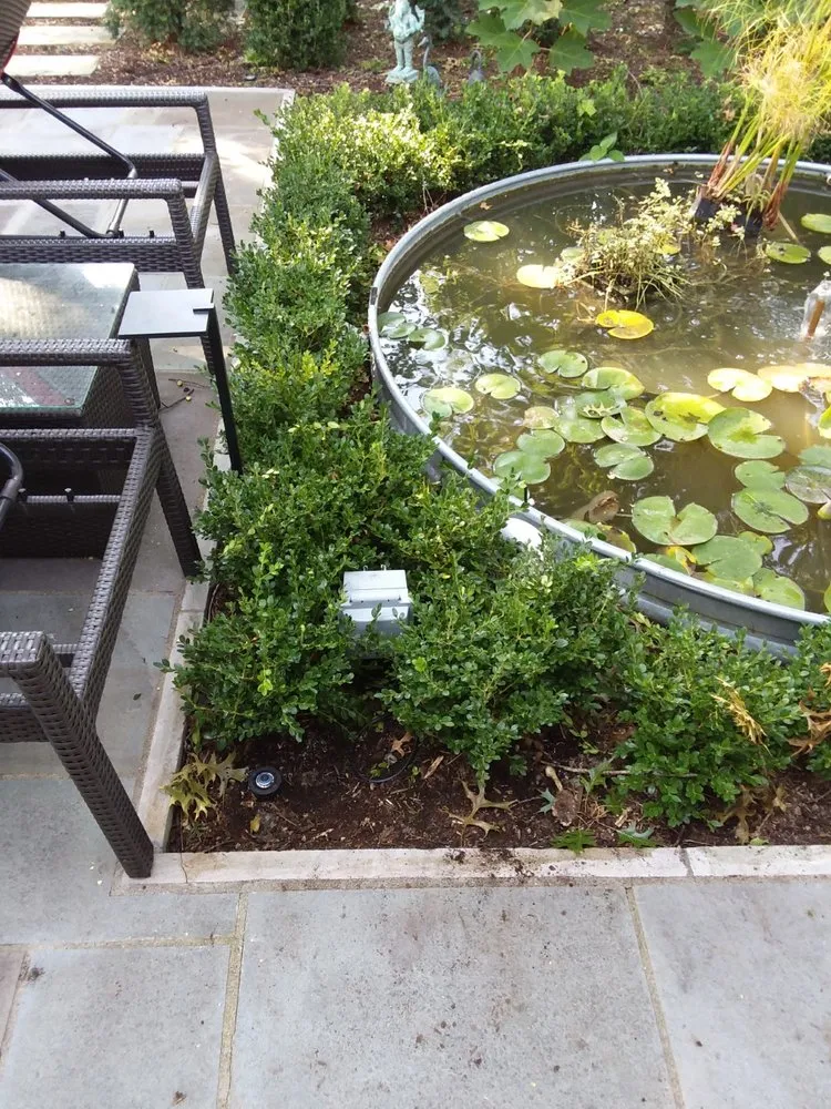 Certified outlet and switch repair in , by McClure Electrical Services