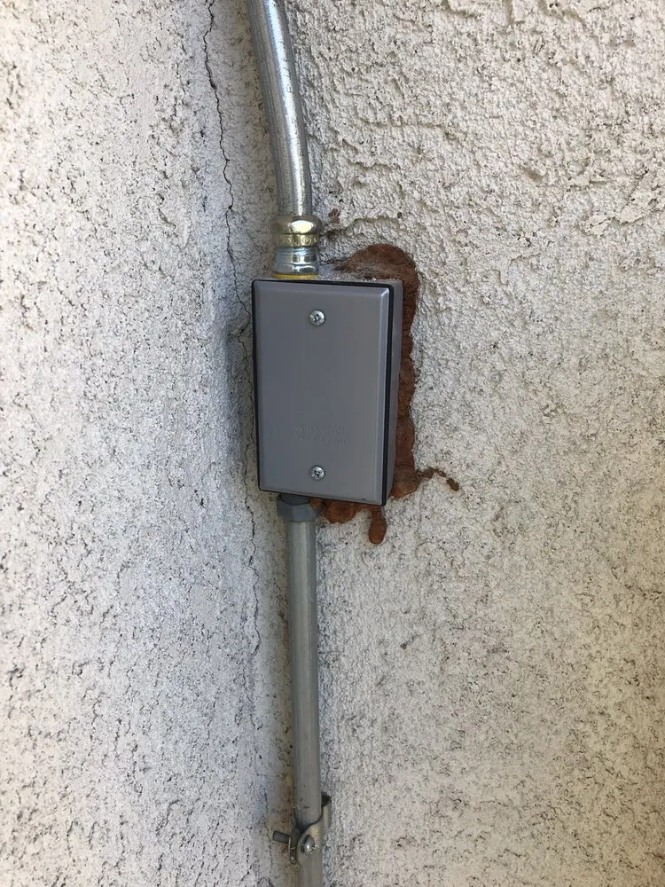 Slide of McDade-Woodcock