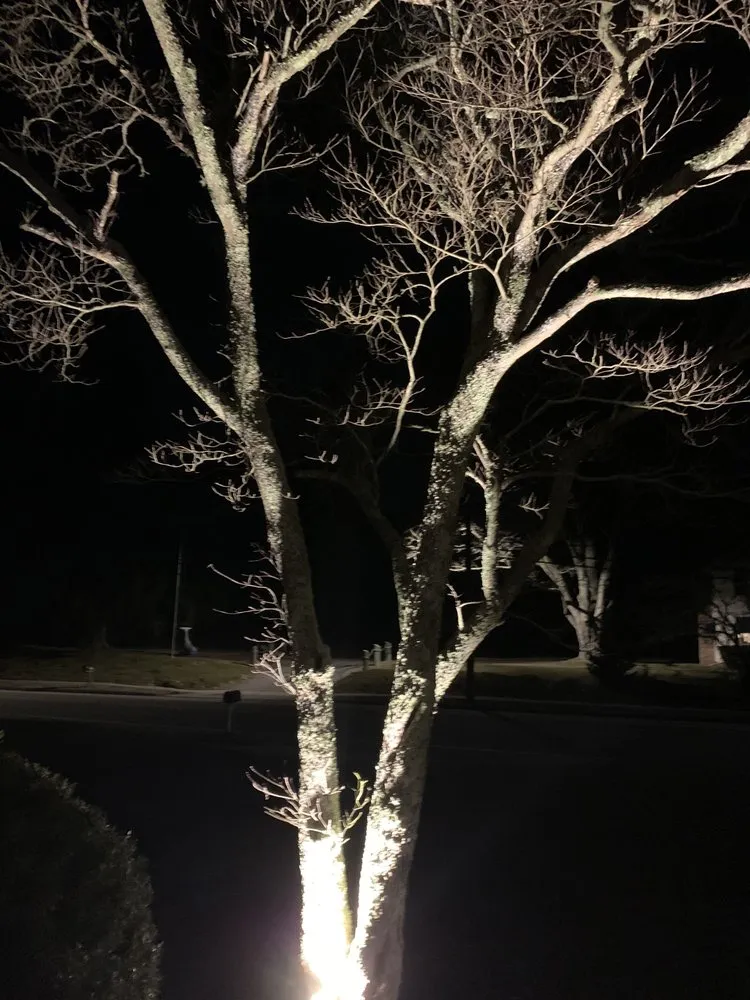 Licensed electrical service for homes in wiring installation,  by 