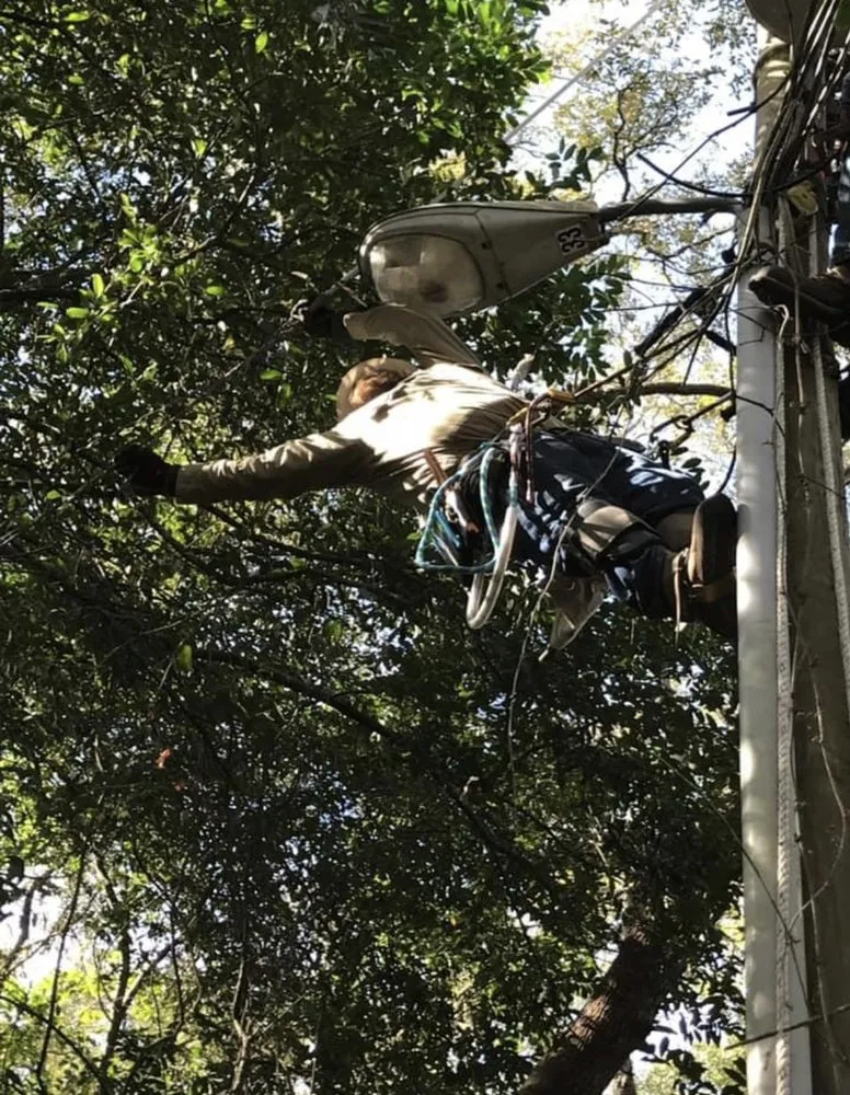 Slide of McGowan & PLD