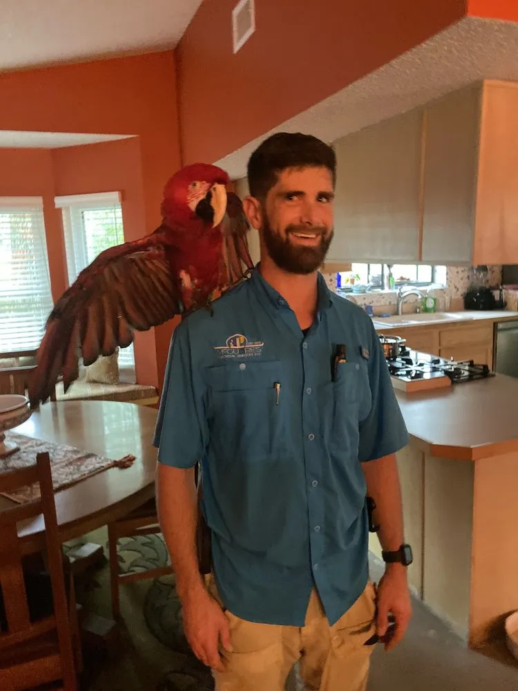 Expert emergency electrical service service in , - McGuire’s Electrical Services