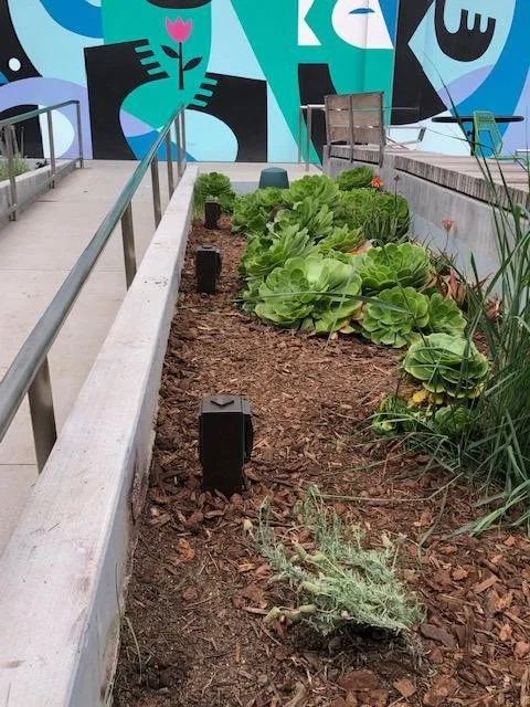 Licensed outlet and switch repair in , by Mckee Electrical Contracting