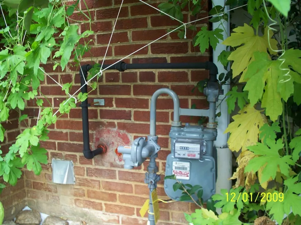 Slide of MCS Services