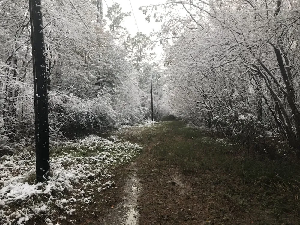 Affordable circuit breaker repair service in , - McWilliams Electric