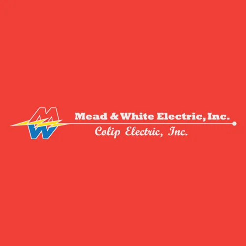 Slide of Mead & White Electric