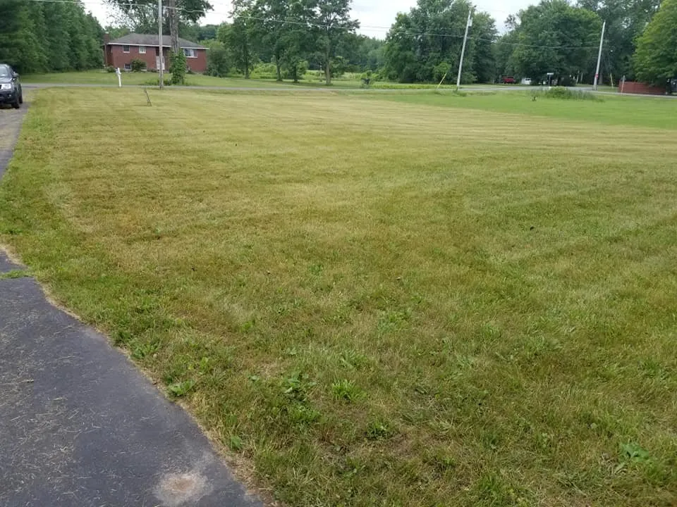 Slide of Medic Property Services