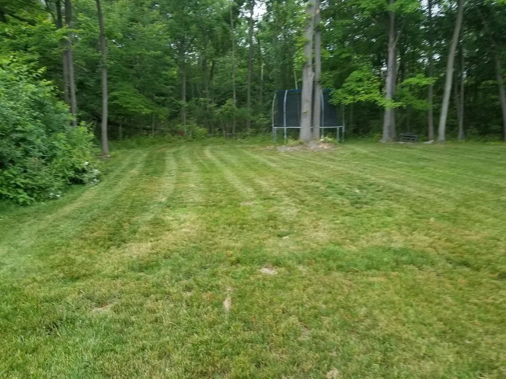 Slide of Medic Property Services