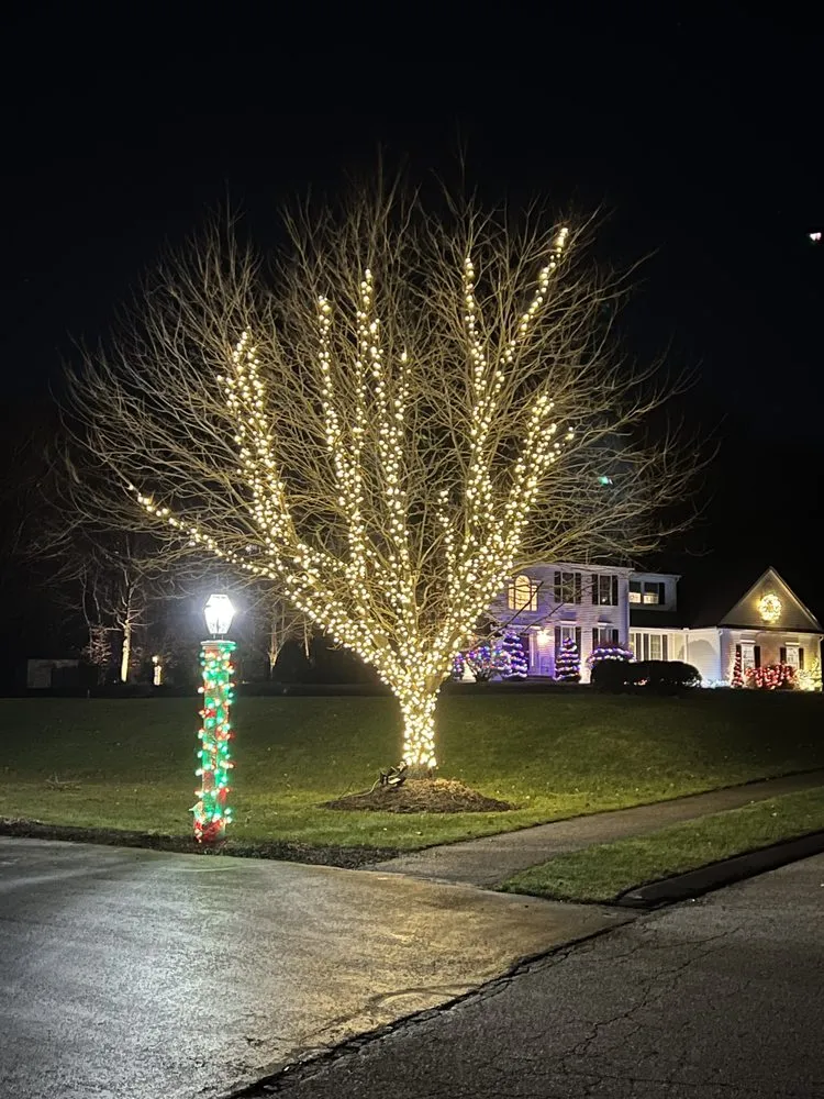 Slide of Medo Electrical  Services