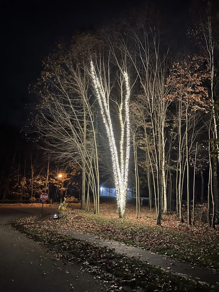 Slide of Medo Electrical  Services