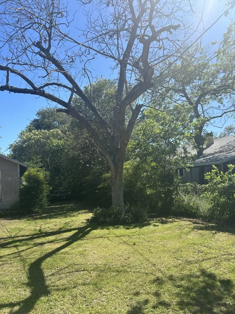 Slide of Medrano’s Services