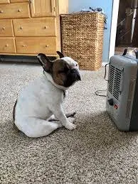 Slide of Megawatt Electrical Services