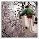 Slide of Mel Carr Electric