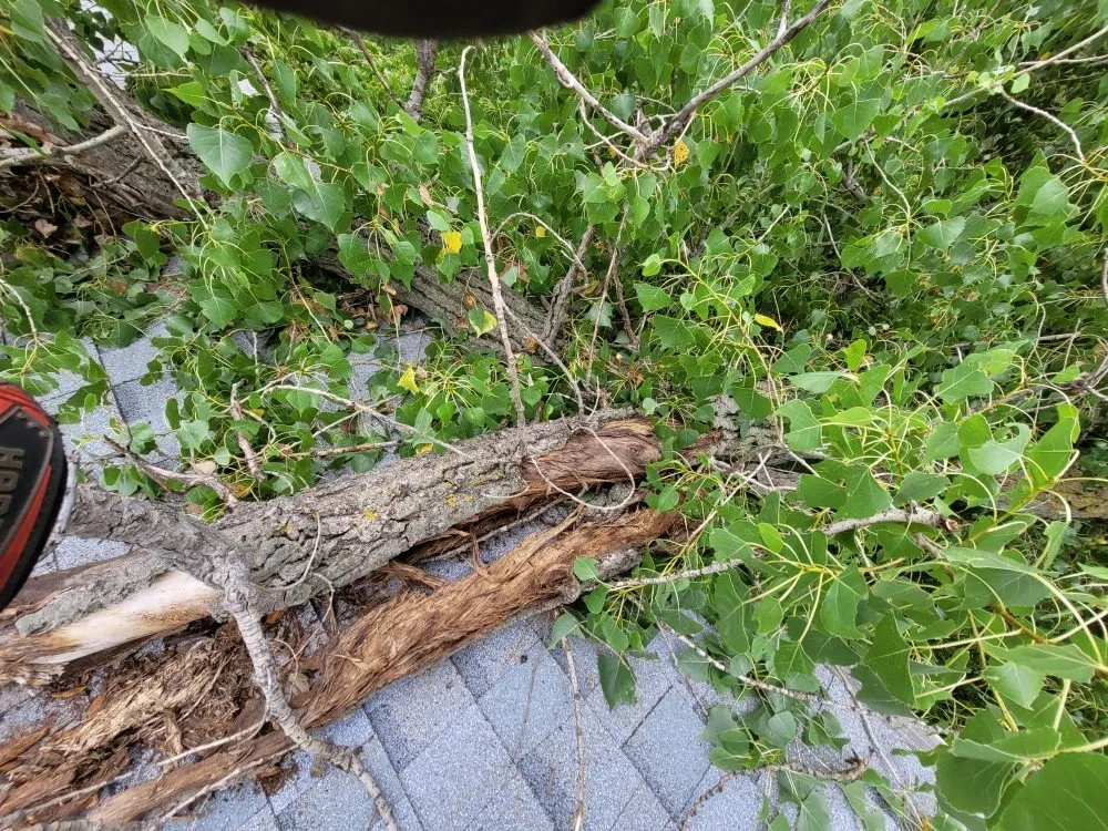 Slide of Mend And Mow