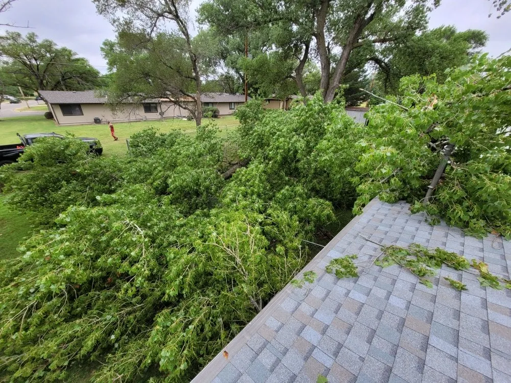 Slide of Mend And Mow