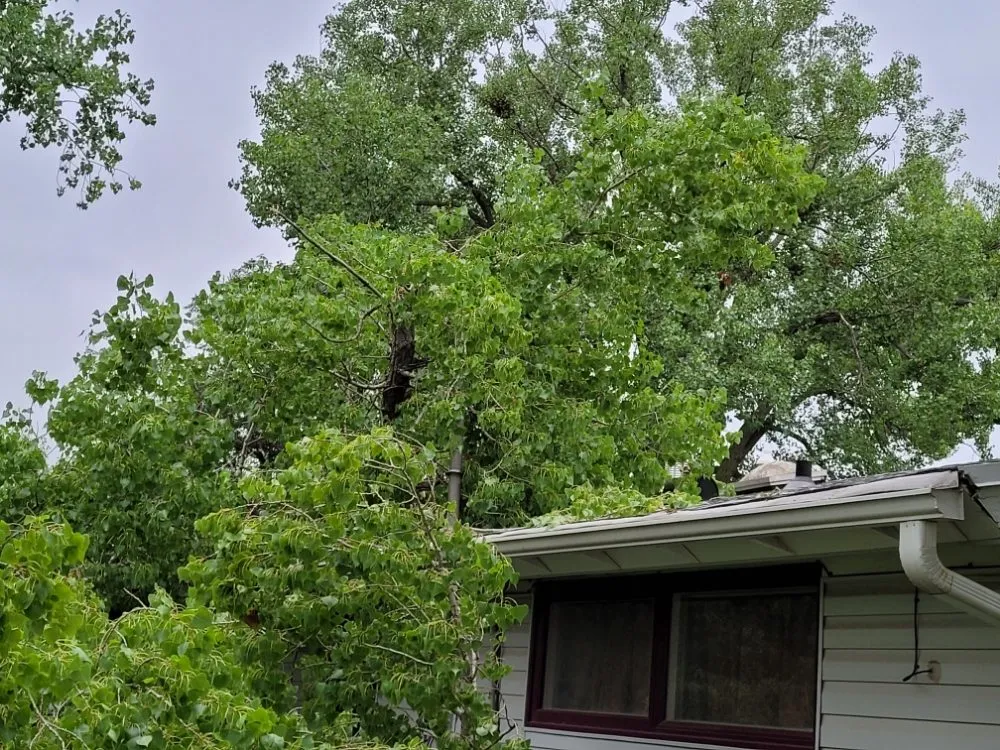 Slide of Mend And Mow