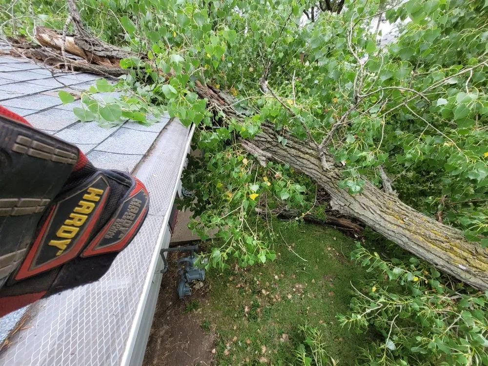 Slide of Mend And Mow