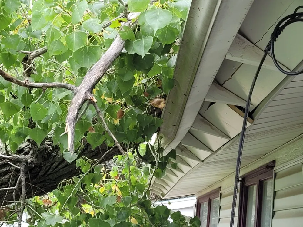 Slide of Mend And Mow