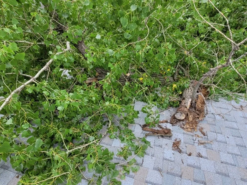 Slide of Mend And Mow