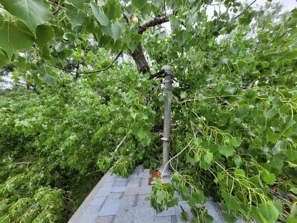 Slide of Mend And Mow