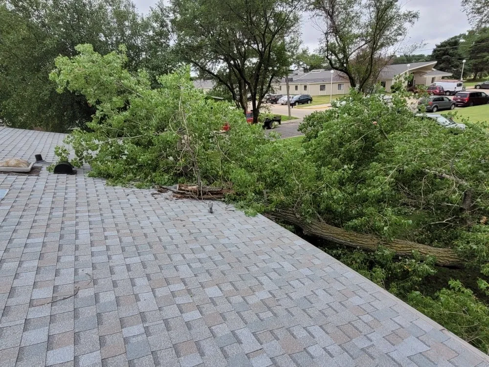 Slide of Mend And Mow