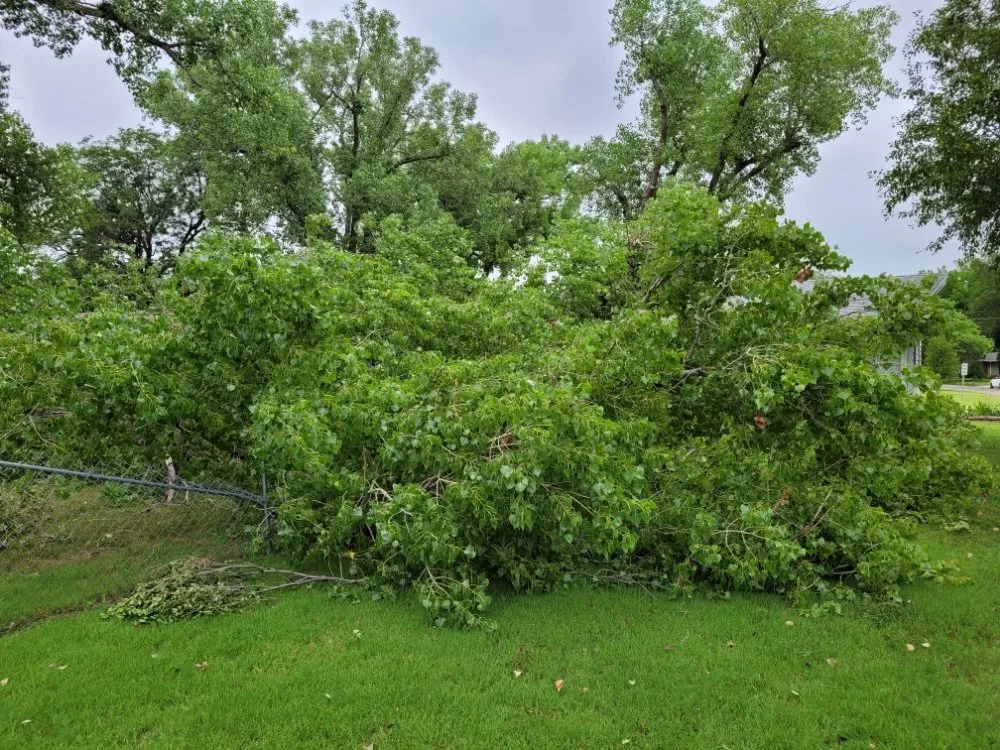 Slide of Mend And Mow