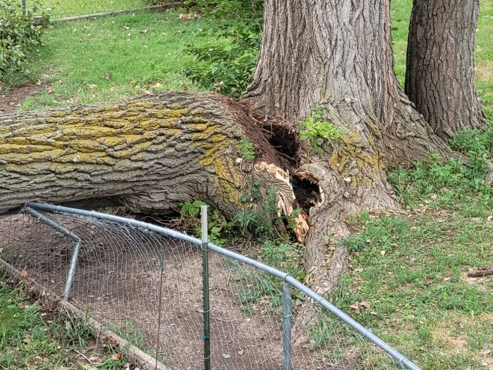 Slide of Mend And Mow