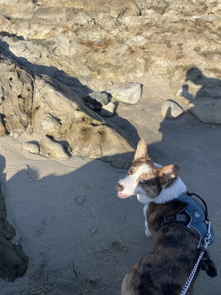 Slide of Meraw Electric