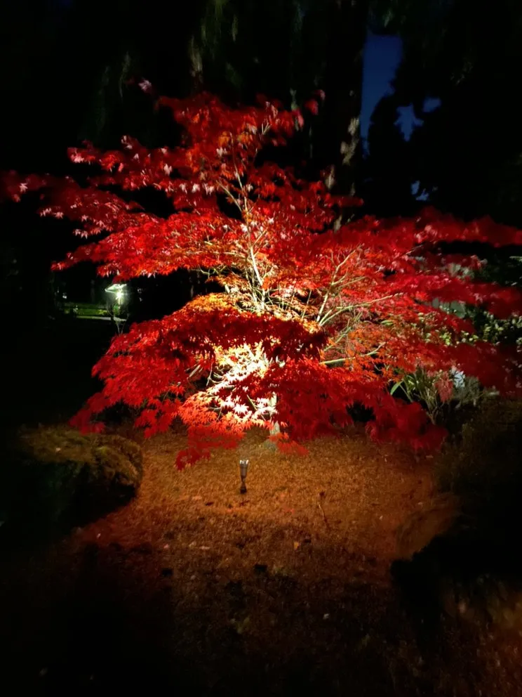 Slide of Merv Electric