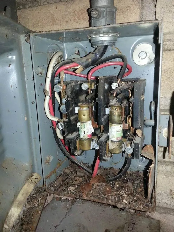 Slide of Messenger Barney