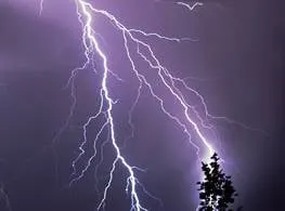 Slide of Metro's Best Electric