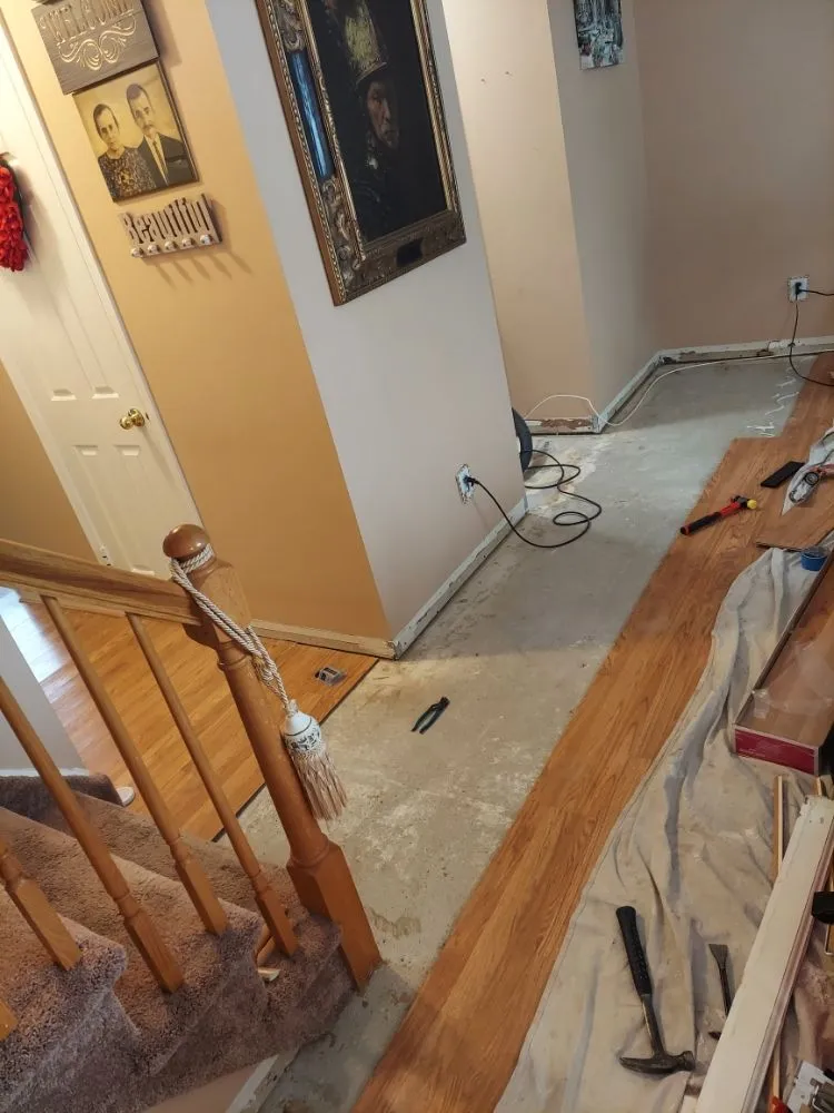 Slide of MFK Reno Pro