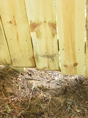 MG Construction & Electric