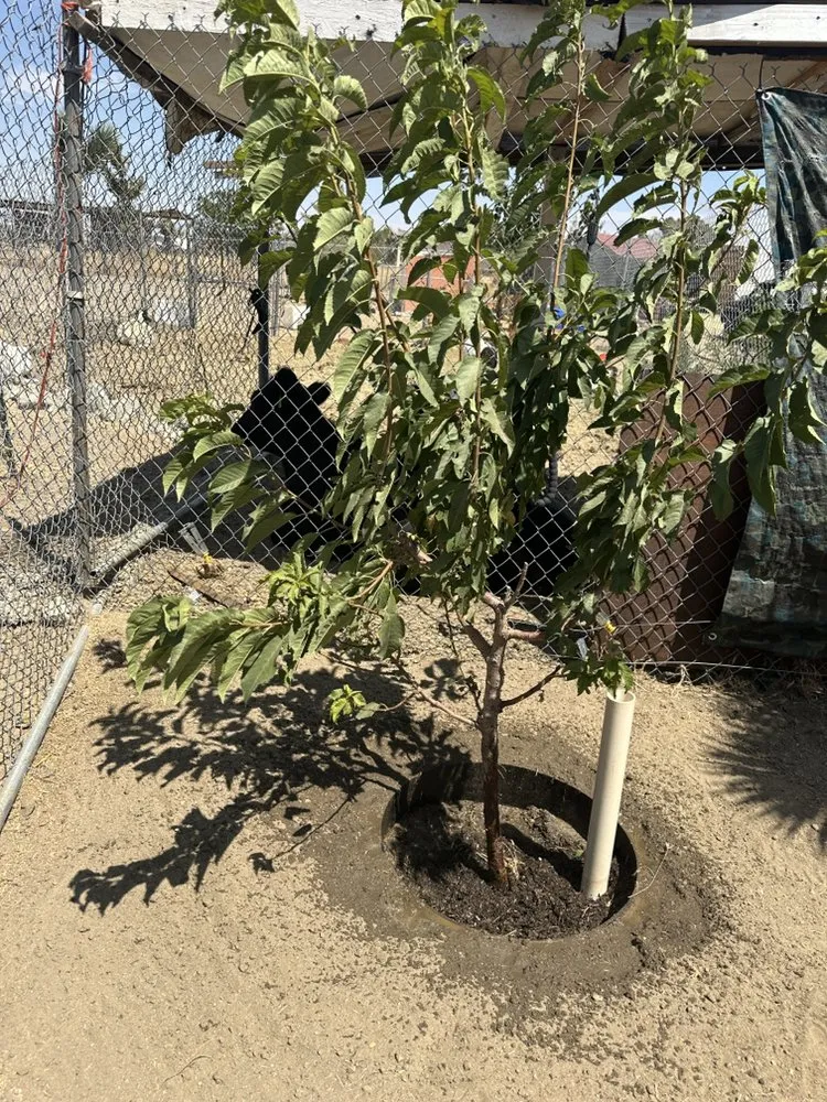 Slide of MG Quality Handyman