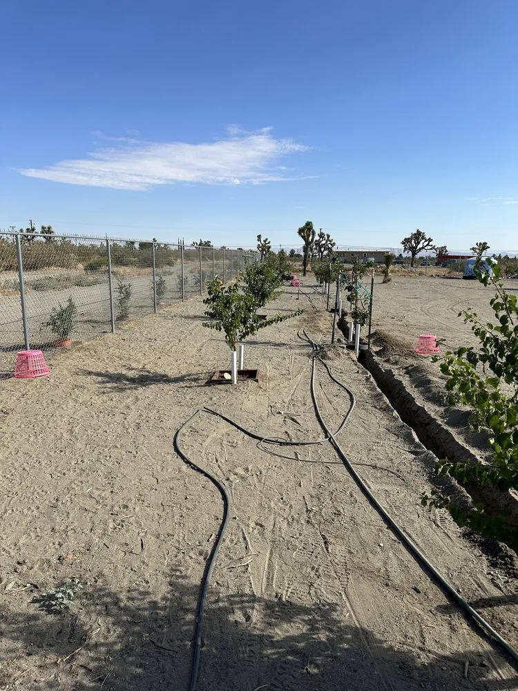 Slide of MG Quality Handyman