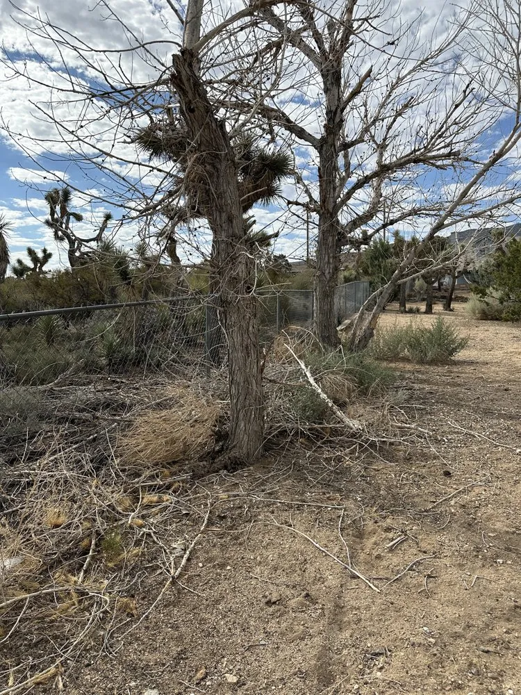 Slide of MG Quality Handyman