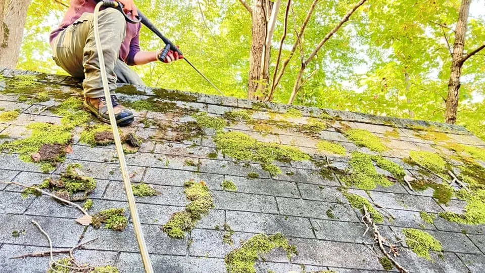 Slide of MH Quality Tree Care and Landscaping Service