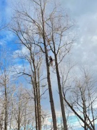 Expert electrician providing emergency electrical service in , 