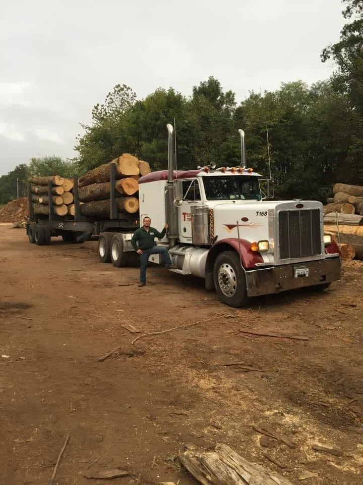 Expert electrician providing outlet and switch repair in , 