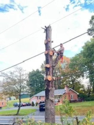 Licensed lighting installation experts serving ,  - MH Quality Tree Care and Landscaping Service