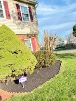 Affordable electrician providing outlet and switch repair in , 