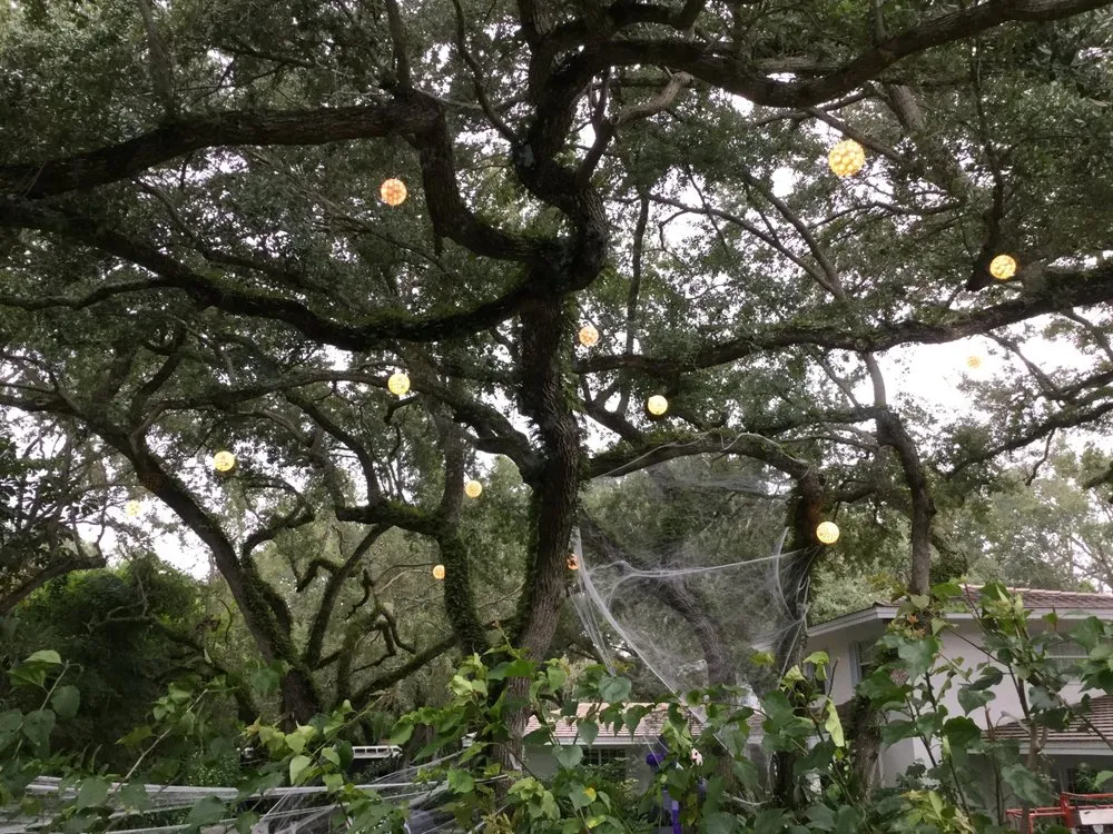 Slide of Miami Electric Masters