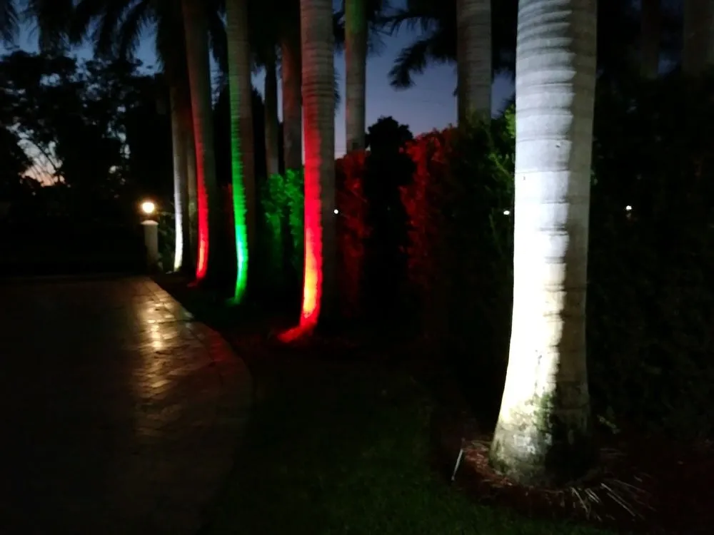 Slide of Miami Electric Masters