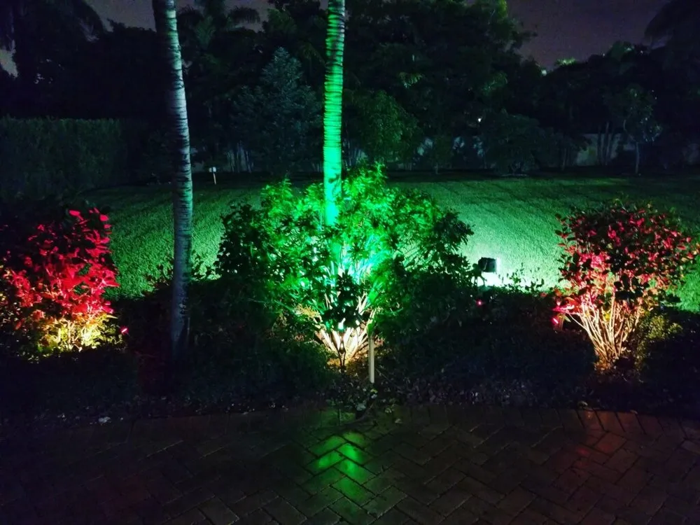 Slide of Miami Electric Masters