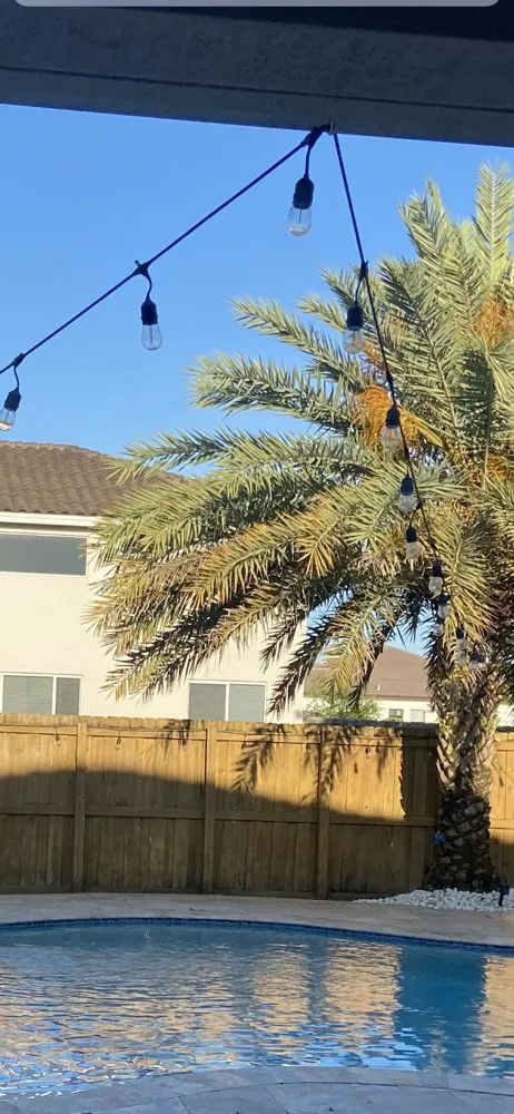 Slide of Miami Electric Wizards